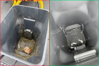 How to Get Rid of Trash Can Smell (and Maggots) — The Florida Homeowner's Guide
