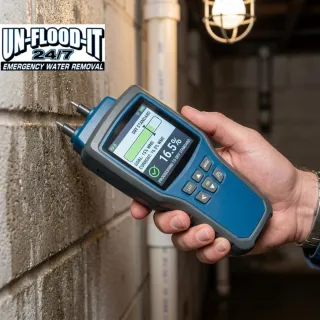  The Essential Role of a Professional Mold Technician for Your Property