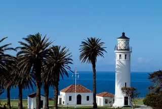 Make Every Florida Drive Count: Finding the Best Car Rental in Cape Coral, FL
