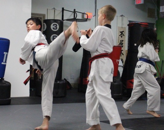 Is Taekwondo Good for Kids Who Are Being Bullied?