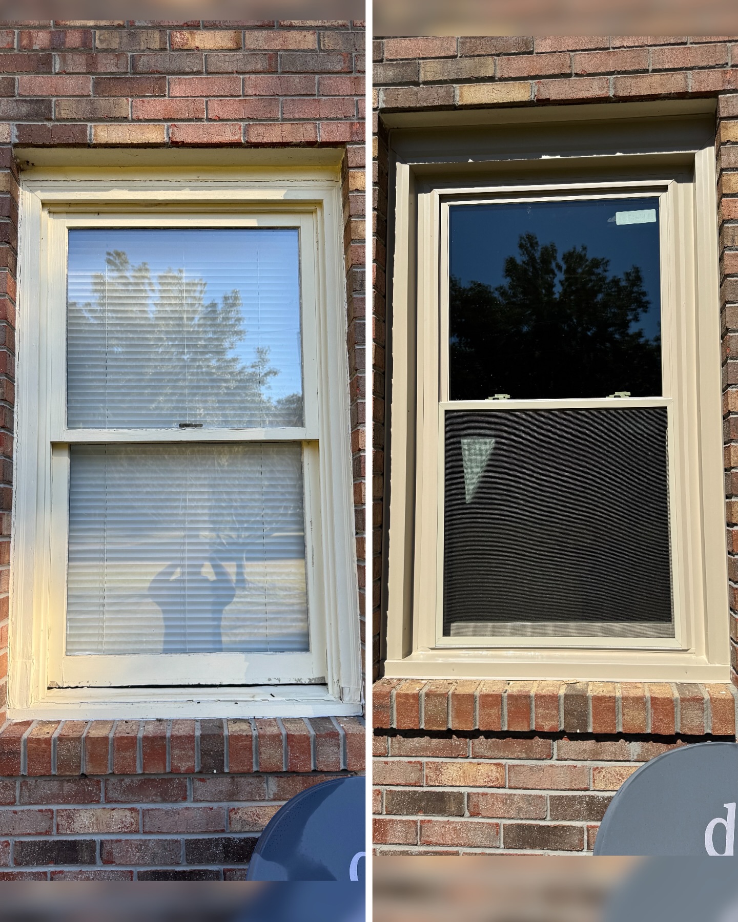 What to Expect During a Window Replacement Project in Madison, AL