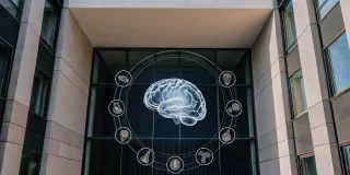 7 Symptoms of Nervous System Dysregulation