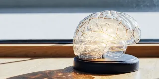 Faith Based Brain Retraining Programs: Science & Faith