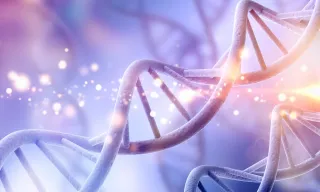 DNA is the Playing Field, Blood Results are the Players, and Gut Bacteria are the Supporters