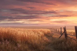 Strategic Sunday: How to Stop Living by Beliefs You Never Chose