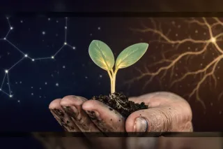 Riding the Wave: Astrology, AI & Emotional Resilience Guide | REAP