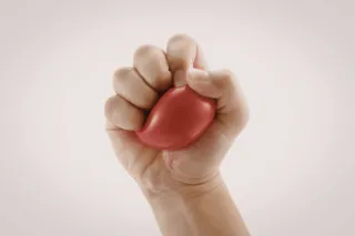 Stress Tolerance Is Built, Not Assumed