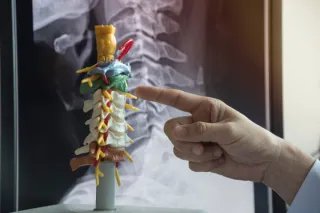 By the Time You Feel It, Your Body Has Already Been Adapting for a Long Time