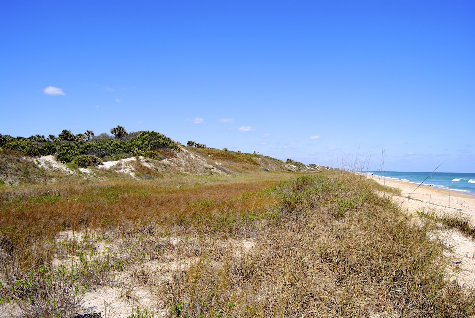 🌊 Wild Florida at Its Finest: Explore Guana Tolomato Matanzas National Estuarine Research Reserve 📍