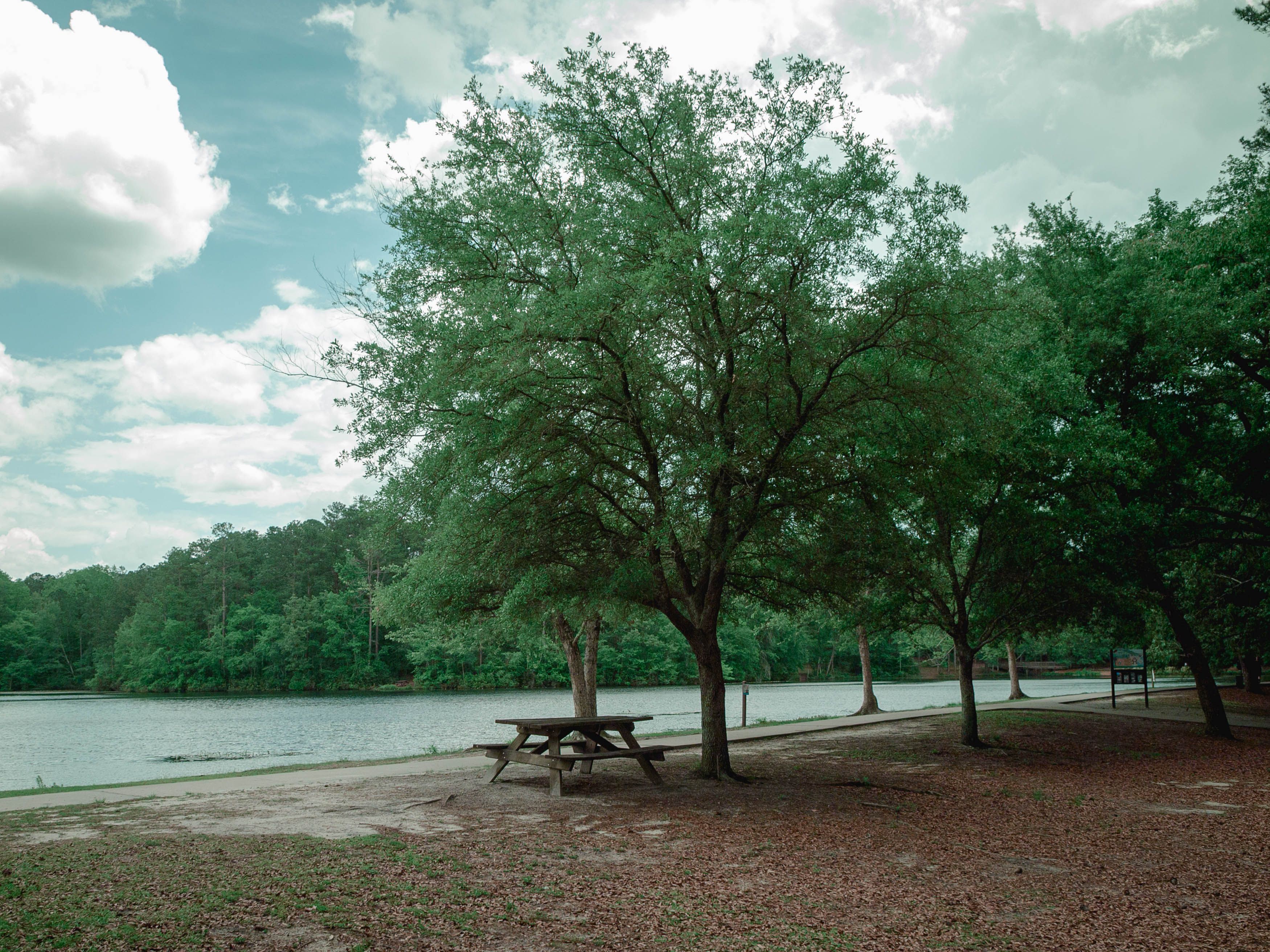 🌊 Discover Anastasia State Park in St. Augustine, FL: A Coastal Adventure You Don’t Want to Miss | Nefl Rent a Car – St. Augustine, Jacksonville & St. Johns Area