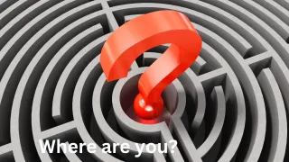 More Leads or Better Sales Conversion