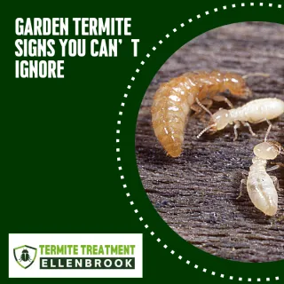 Top Signs of Termites in Your Garden You Shouldn’t Ignore