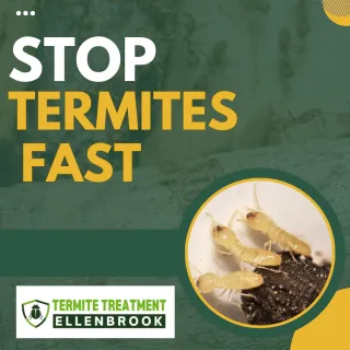 Advanced Termite Treatment Methods That Actually Work