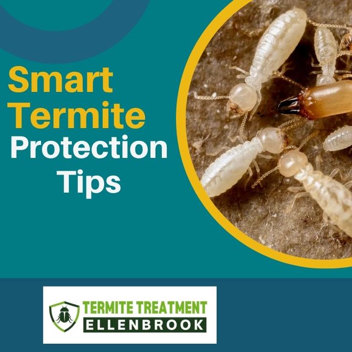 Smart Termite Treatment Tips That Help Protect Every Corner of Your House