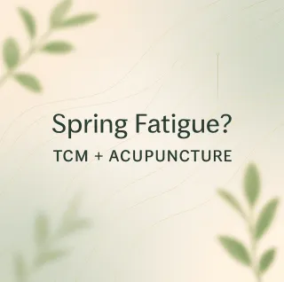 Spring Fatigue? TCM + Acupuncture for “Wired-Tired”