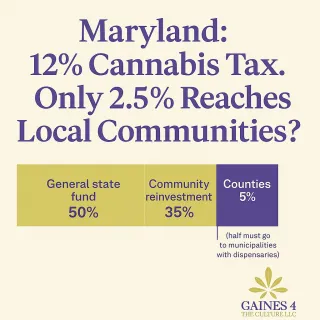 Where Is Maryland’s Cannabis Tax Money Going?