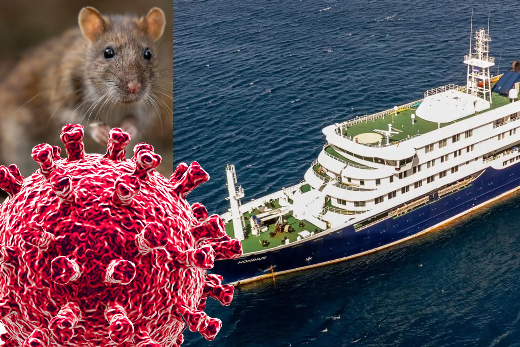 Fatal Hantavirus Outbreak Confirmed Aboard Luxury Cruise Ship off West Africa