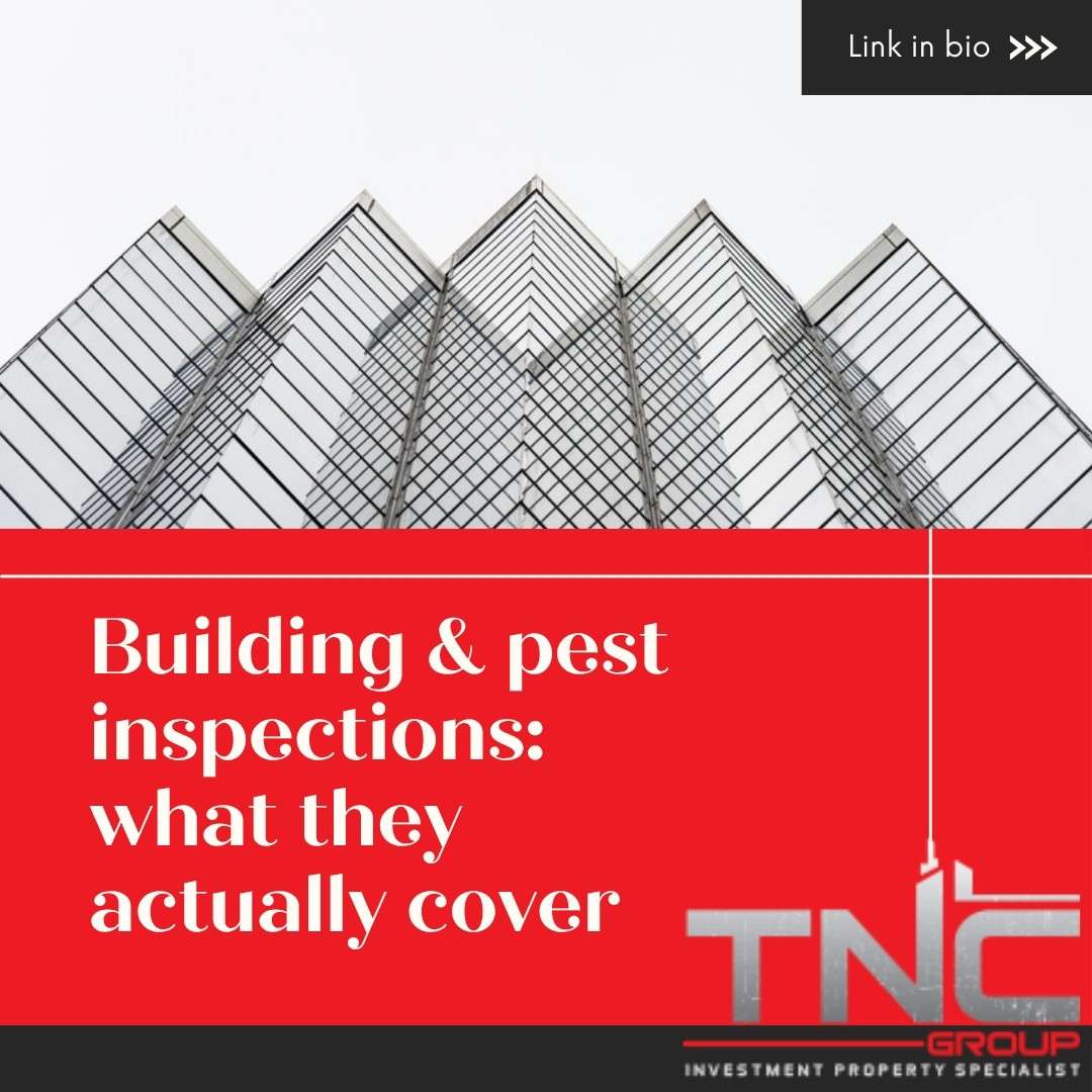 Building and pest inspections: what they cover and what they don't