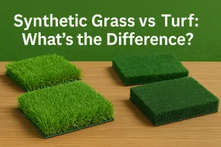 Turf vs Natural Grass: Which Is Better in Florida?