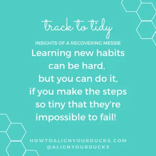 5. Make the steps so small, you can't fail...