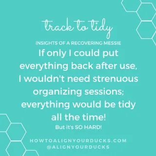 3. Do this one thing and you'll have a tidy home...