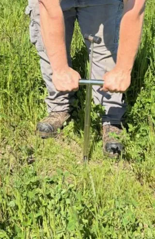 The Wait Is Over: Cutting Season Has Begun