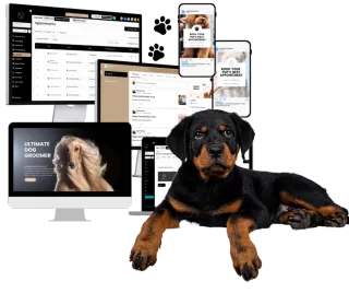How to Price Your Pet Services to Attract Better Clients