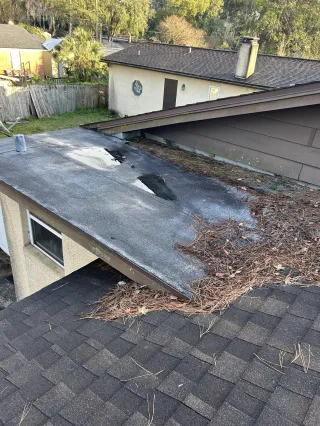 Defending Your Northeast Florida Home from Wildfires: Why Your Roof is Your First Line of Defense