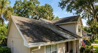 The Importance of Roof Cleaning After Winter: Preventing Mold and Algae Growth