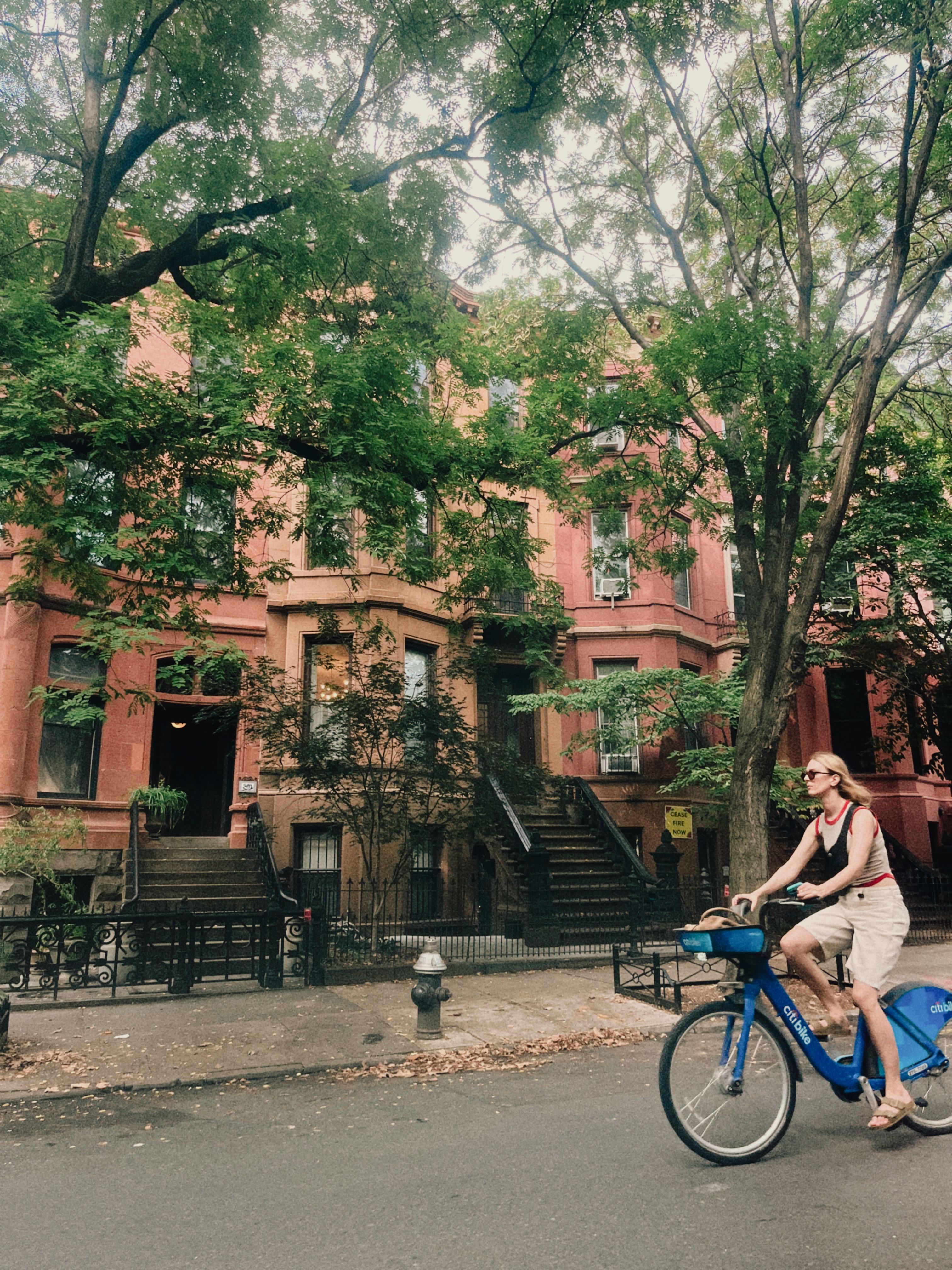 Norfolk's Best Walkable, Bikeable Neighborhoods