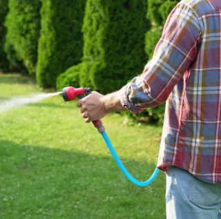 Recovering From lawn Burn