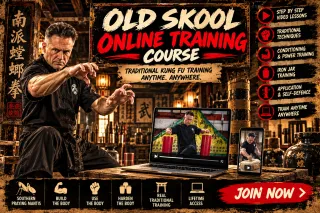 Can You Learn Kung Fu Online?