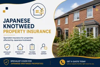 Japanese Knotweed & Property Insurance UK | The Real Cover