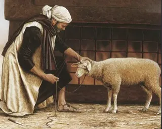 Sacrifice as a Meal