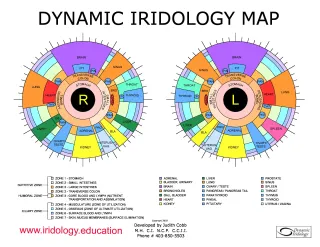 Intro to Iris Mapping