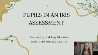 What the Pupils Add to an Iris Assessment