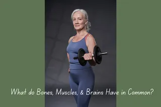 Bones, Muscles & Brains: Creatine