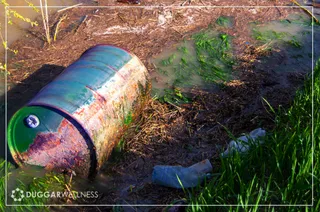 The Toxic Burden We All Face