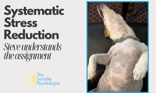 Systematic Stress Reduction: Steve understands the assignment