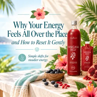 Why Your Energy Feels All Over the Place and How to Reset It Gently