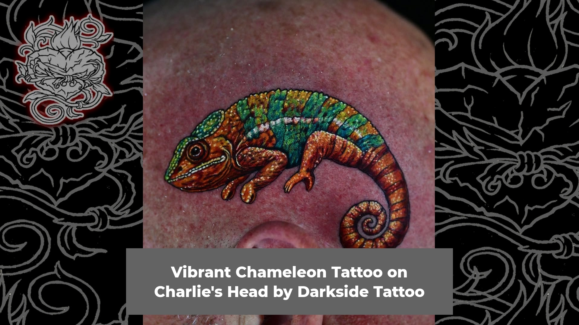 Vibrant Chameleon Tattoo on Charlie's Head by Darkside Tattoo