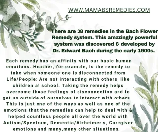38 Remedies for Dementia and Caregiver Relief