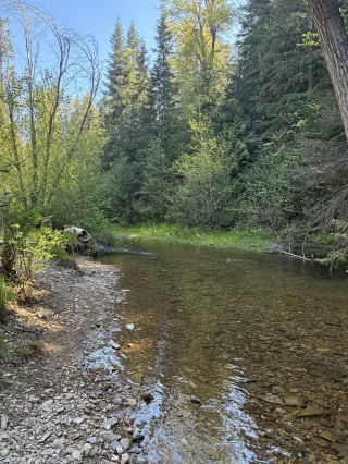 Protecting our Watershed - Hayden Creek Project