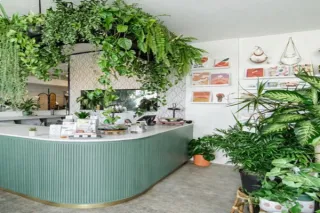 What a Plant Shop Taught Me About Growth