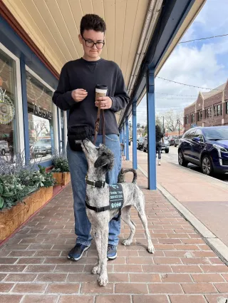 Service Dog Public Access Laws: Where They Are Allowed (And When They Can Be Removed)