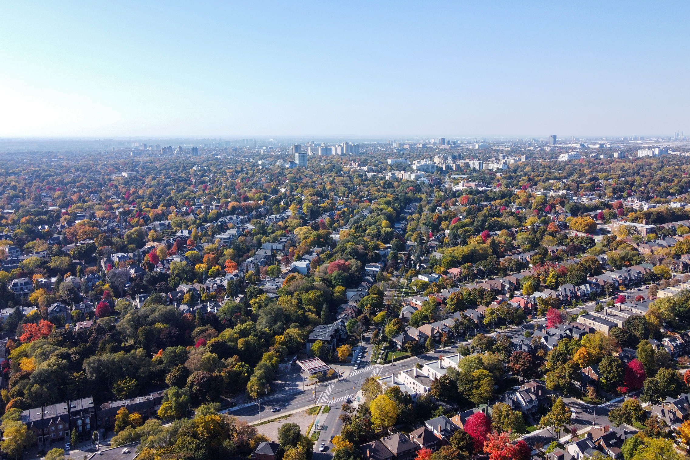 Forest Hill: Toronto's Neighbourhood of Old Money, New Vision