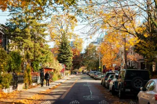 Why Everyone Wants to Live in Rosedale and Forest Hill