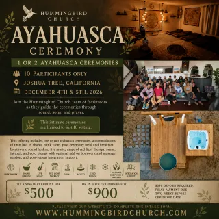 10 Participants Only - Joshua Tree, California - December 4th & 5th, 2026 - Single Night Ceremony or Two Nights of Ceremony 