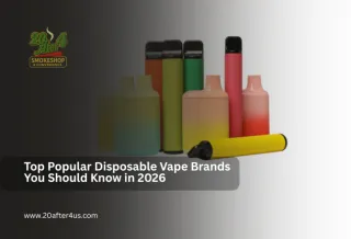 Top Popular Disposable Vape Brands You Should Know in 2026