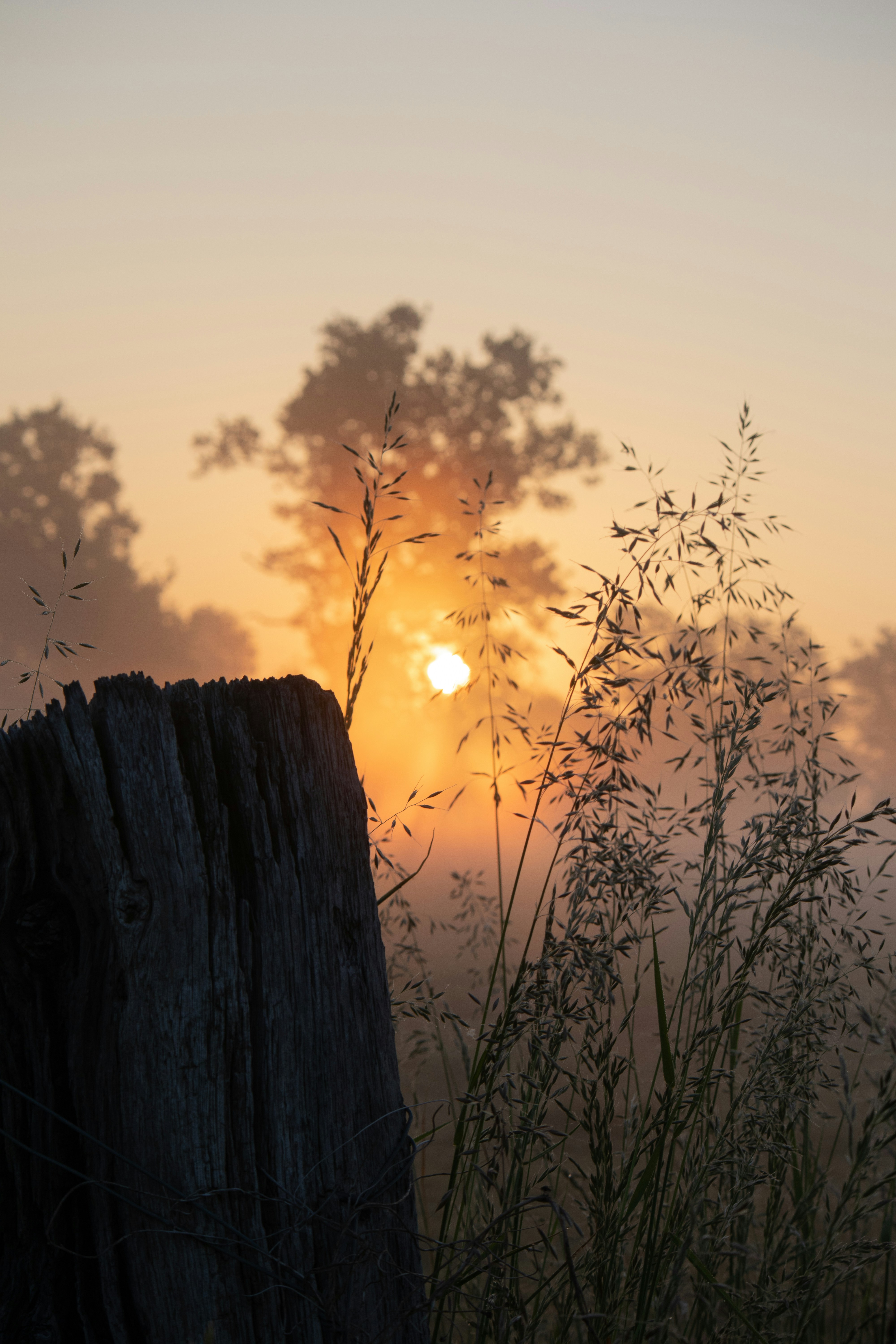 Is Your Morning Chaos Sabotaging Your Mental Health? The Truth About Morning Rituals